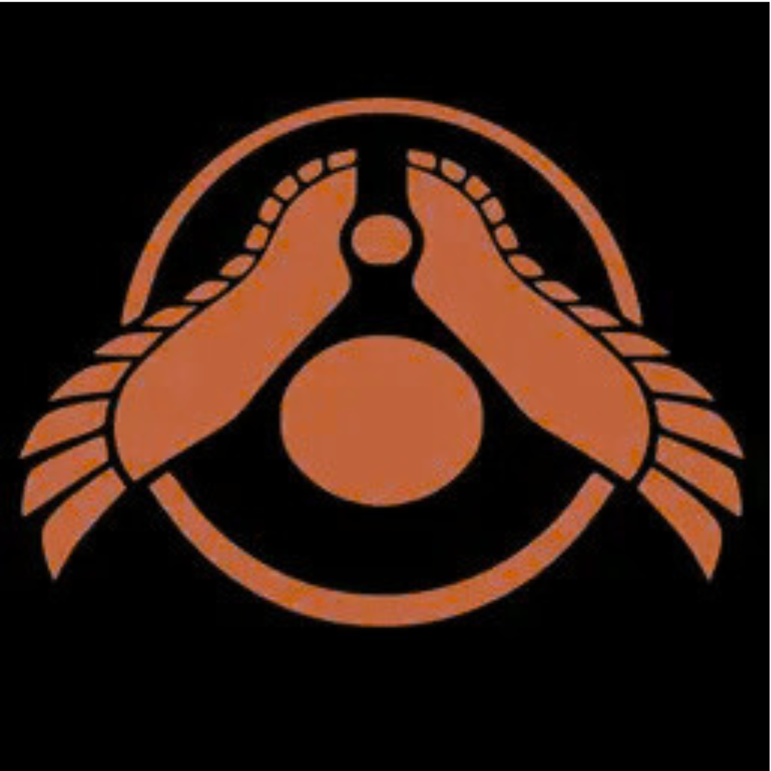 Hiigaran's Resurgence